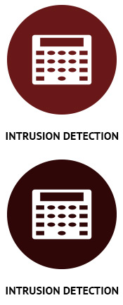 Flagstaff, AZ Intrusion Detection - Intrusion Detection Icon